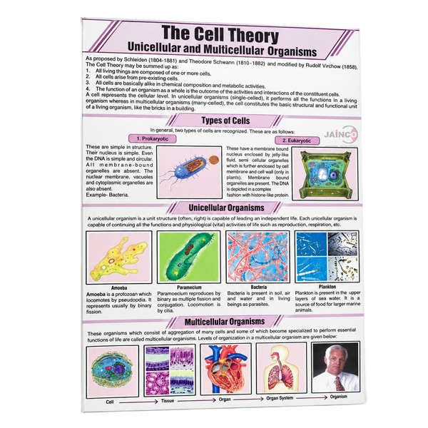 The Cell Theory